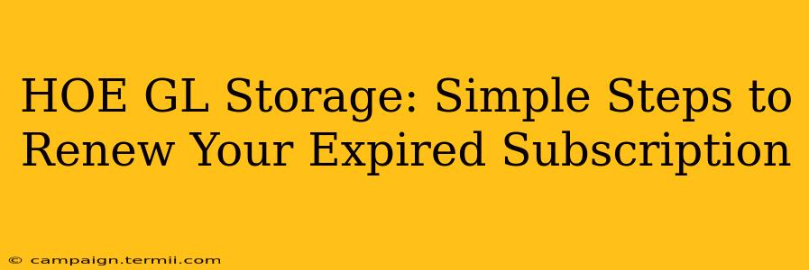 HOE GL Storage: Simple Steps to Renew Your Expired Subscription