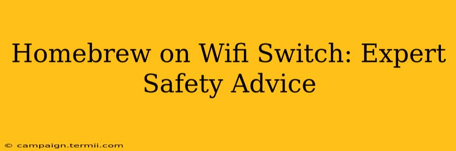 Homebrew on Wifi Switch: Expert Safety Advice