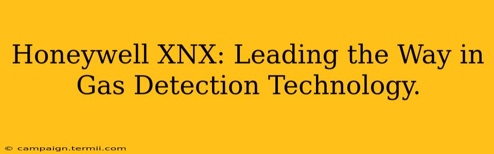 Honeywell XNX: Leading the Way in Gas Detection Technology.