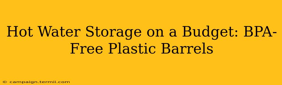 Hot Water Storage on a Budget: BPA-Free Plastic Barrels