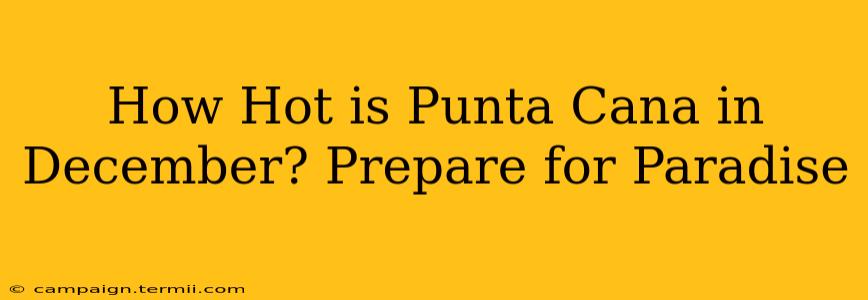 How Hot is Punta Cana in December? Prepare for Paradise