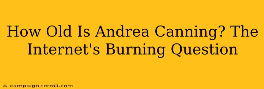 How Old Is Andrea Canning? The Internet's Burning Question