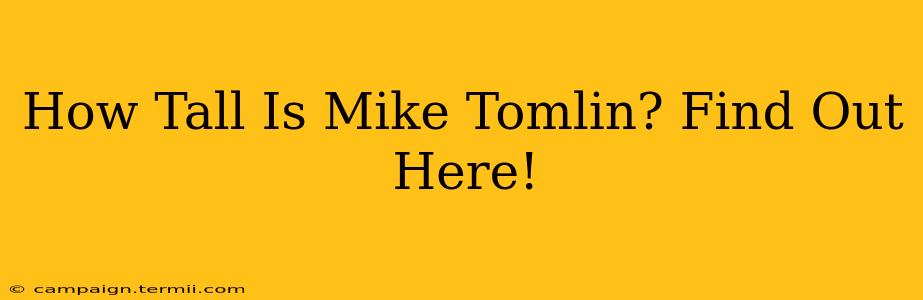 How Tall Is Mike Tomlin? Find Out Here!