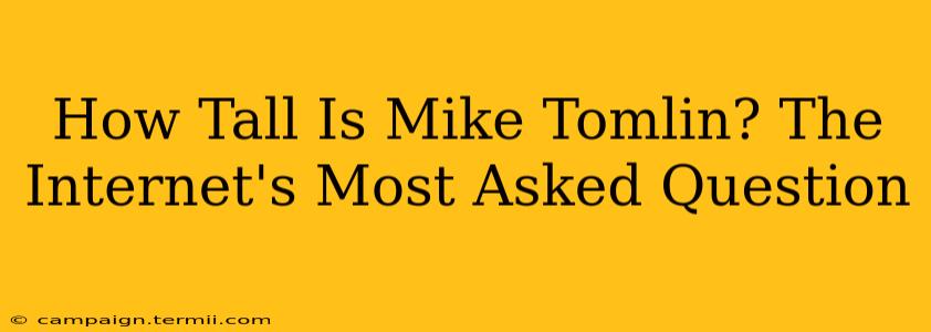 How Tall Is Mike Tomlin? The Internet's Most Asked Question