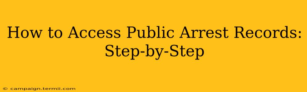 How to Access Public Arrest Records: Step-by-Step