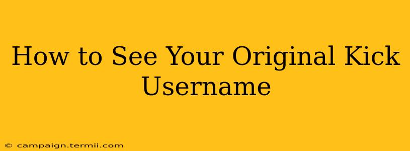 How to See Your Original Kick Username