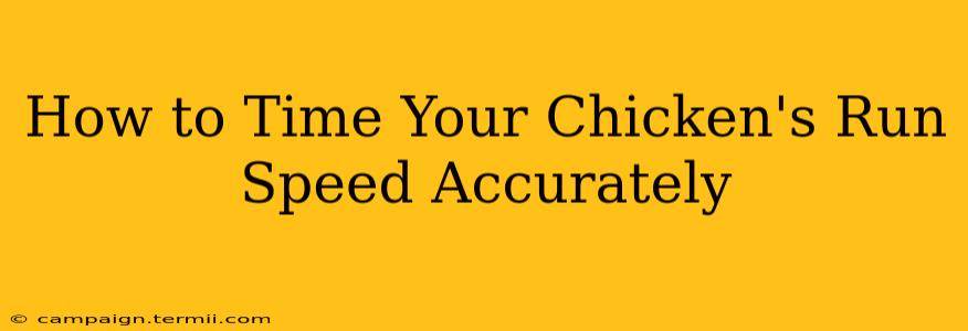 How to Time Your Chicken's Run Speed Accurately