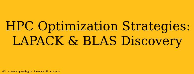 HPC Optimization Strategies: LAPACK & BLAS Discovery