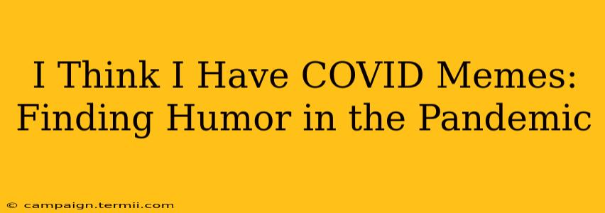 I Think I Have COVID Memes:  Finding Humor in the Pandemic