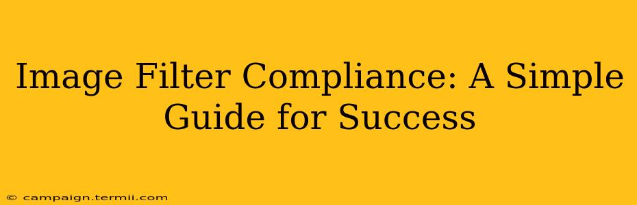 Image Filter Compliance: A Simple Guide for Success