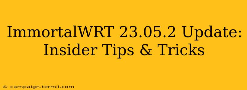 ImmortalWRT 23.05.2 Update: Insider Tips & Tricks