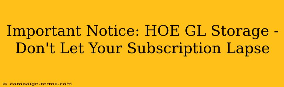 Important Notice: HOE GL Storage - Don't Let Your Subscription Lapse