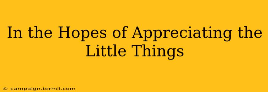 In the Hopes of Appreciating the Little Things