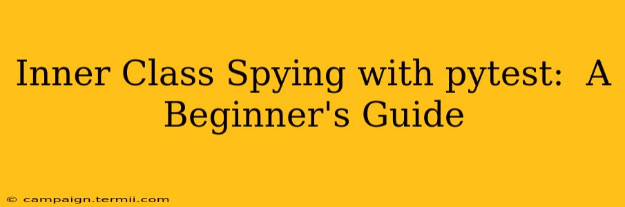 Inner Class Spying with pytest:  A Beginner's Guide