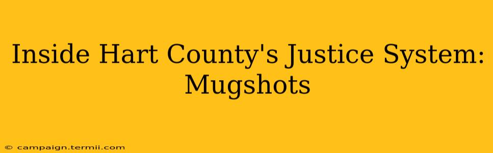 Inside Hart County's Justice System: Mugshots