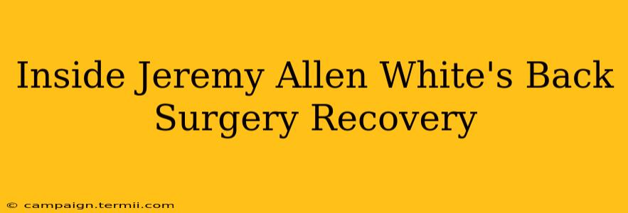 Inside Jeremy Allen White's Back Surgery Recovery