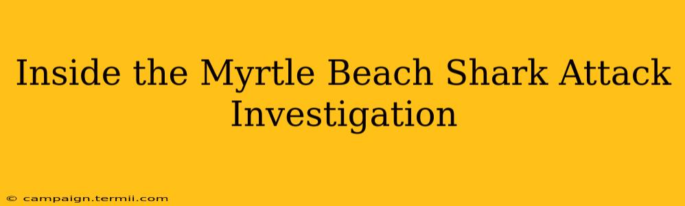 Inside the Myrtle Beach Shark Attack Investigation