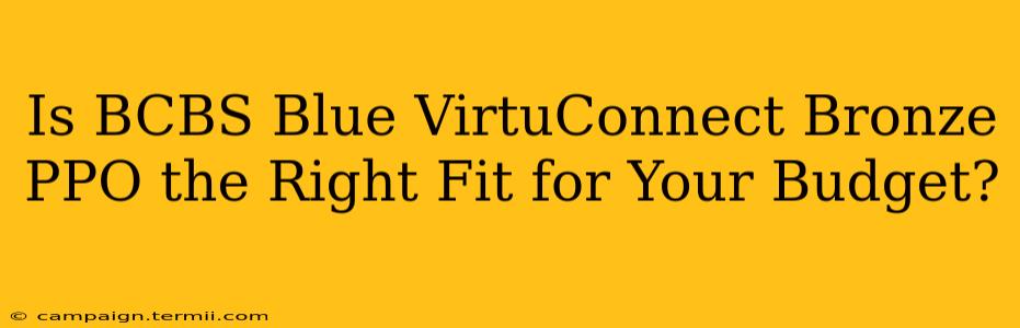 Is BCBS Blue VirtuConnect Bronze PPO the Right Fit for Your Budget?