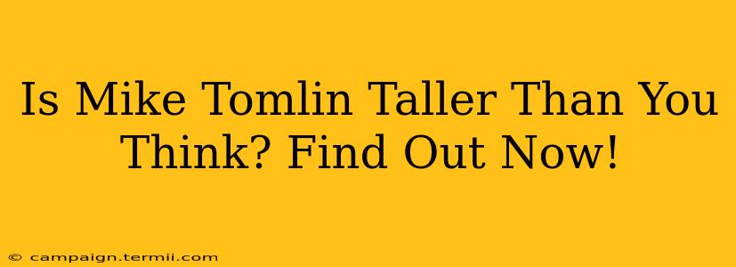 Is Mike Tomlin Taller Than You Think? Find Out Now!