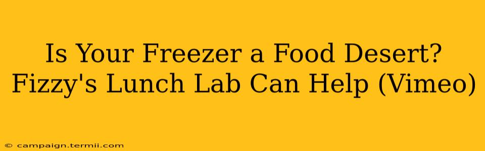 Is Your Freezer a Food Desert? Fizzy's Lunch Lab Can Help (Vimeo)