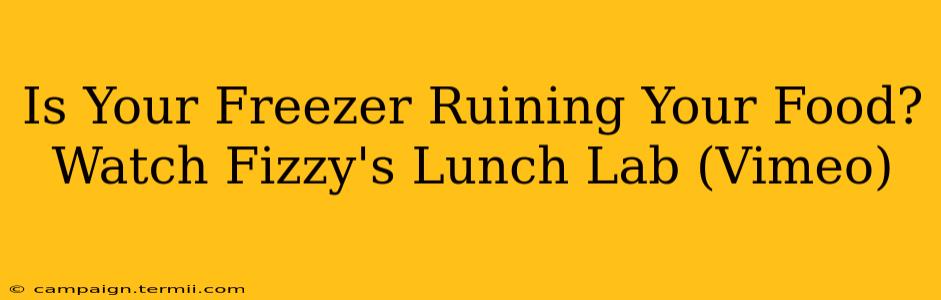 Is Your Freezer Ruining Your Food? Watch Fizzy's Lunch Lab (Vimeo)