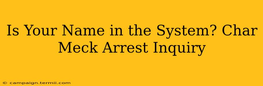 Is Your Name in the System? Char Meck Arrest Inquiry