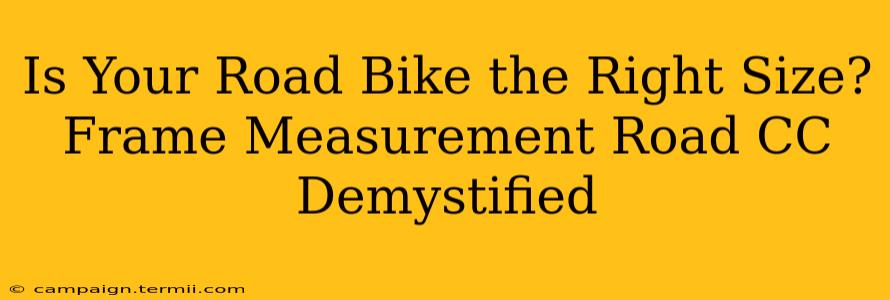 Is Your Road Bike the Right Size? Frame Measurement Road CC Demystified