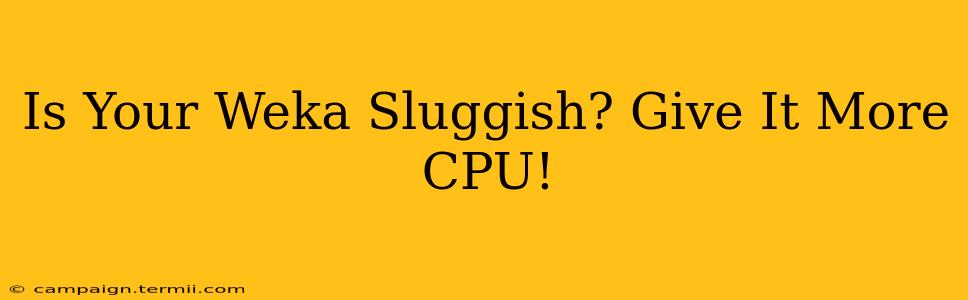 Is Your Weka Sluggish? Give It More CPU!