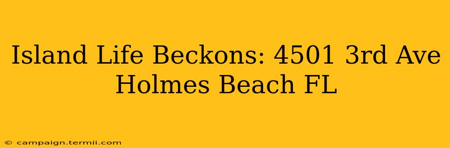 Island Life Beckons: 4501 3rd Ave Holmes Beach FL