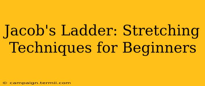 Jacob's Ladder: Stretching Techniques for Beginners