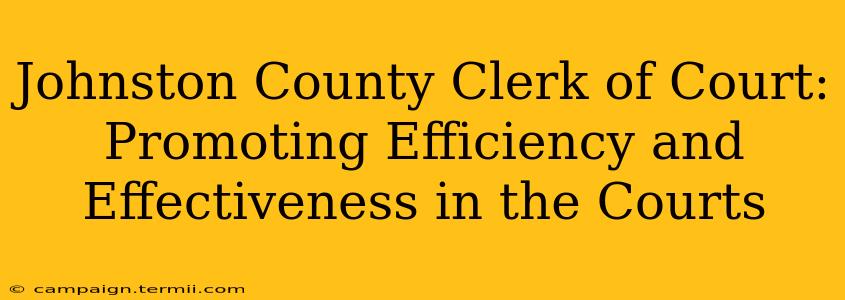 Johnston County Clerk of Court: Promoting Efficiency and Effectiveness in the Courts