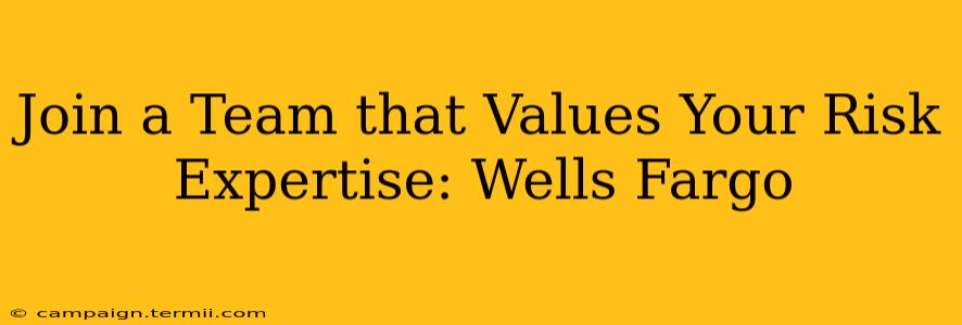 Join a Team that Values Your Risk Expertise: Wells Fargo