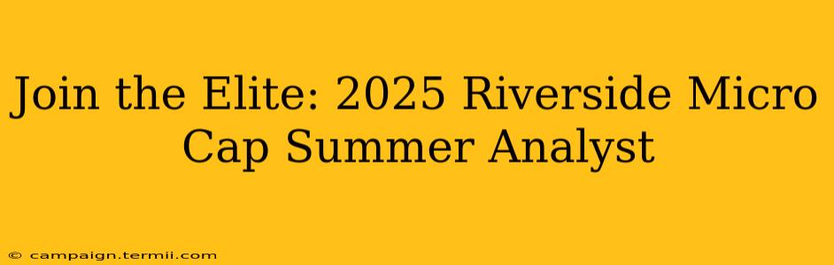 Join the Elite: 2025 Riverside Micro Cap Summer Analyst