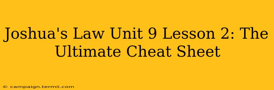 Joshua's Law Unit 9 Lesson 2: The Ultimate Cheat Sheet