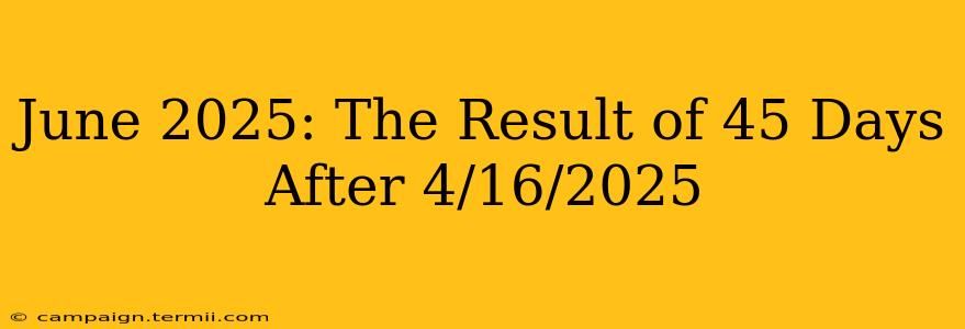 June 2025: The Result of 45 Days After 4/16/2025