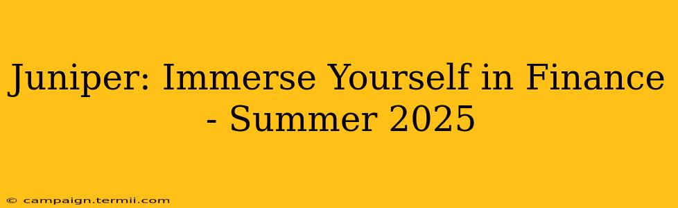 Juniper: Immerse Yourself in Finance - Summer 2025