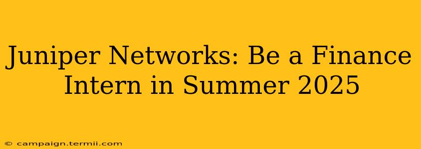 Juniper Networks: Be a Finance Intern in Summer 2025