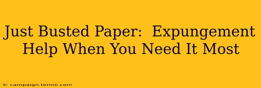 Just Busted Paper:  Expungement Help When You Need It Most