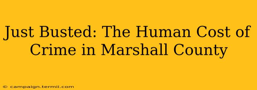 Just Busted: The Human Cost of Crime in Marshall County