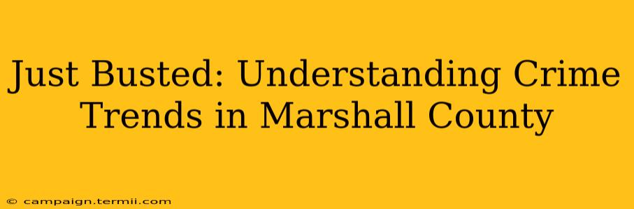 Just Busted: Understanding Crime Trends in Marshall County