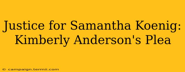 Justice for Samantha Koenig: Kimberly Anderson's Plea