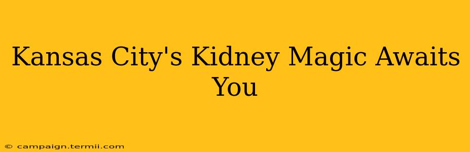 Kansas City's Kidney Magic Awaits You