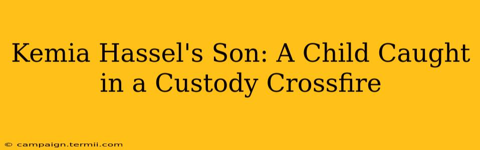 Kemia Hassel's Son: A Child Caught in a Custody Crossfire