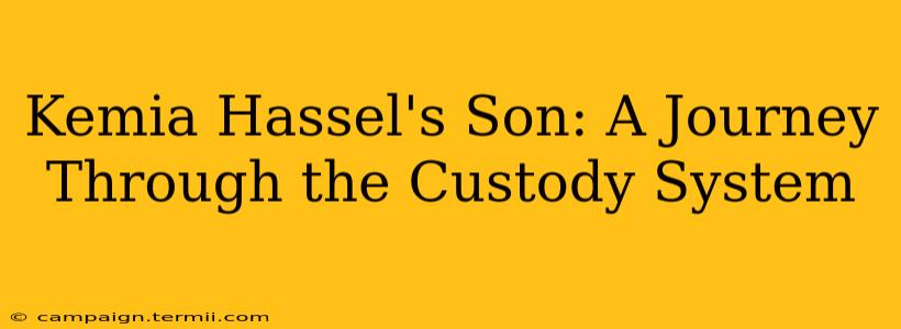 Kemia Hassel's Son: A Journey Through the Custody System