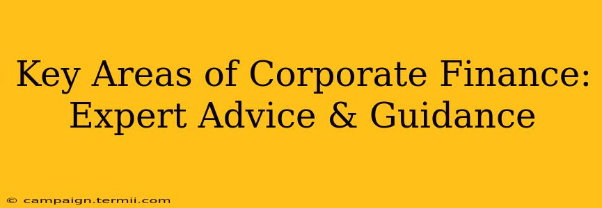 Key Areas of Corporate Finance: Expert Advice & Guidance