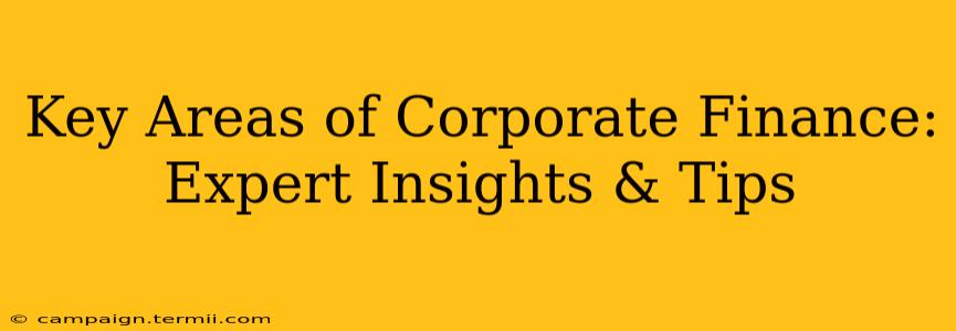 Key Areas of Corporate Finance: Expert Insights & Tips