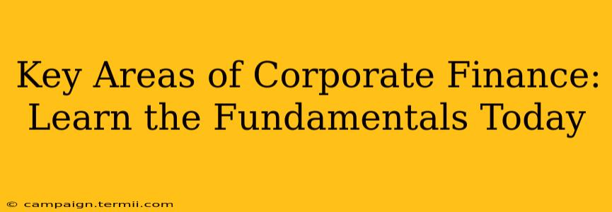 Key Areas of Corporate Finance: Learn the Fundamentals Today