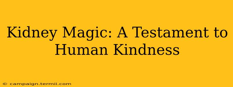 Kidney Magic: A Testament to Human Kindness