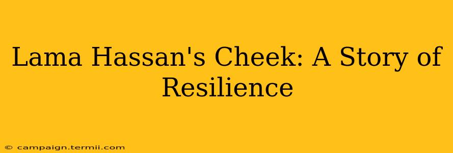 Lama Hassan's Cheek: A Story of Resilience