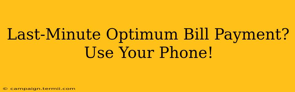 Last-Minute Optimum Bill Payment? Use Your Phone!